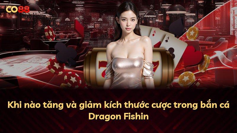 Khi nào tăng và giảm kích thước cược trong bắn cá Dragon Fishin