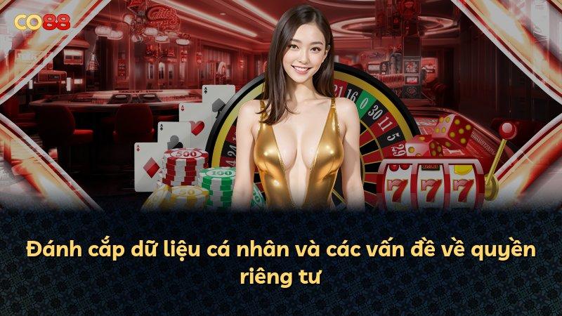 Đánh cắp dữ liệu cá nhân và các vấn đề về quyền riêng tư