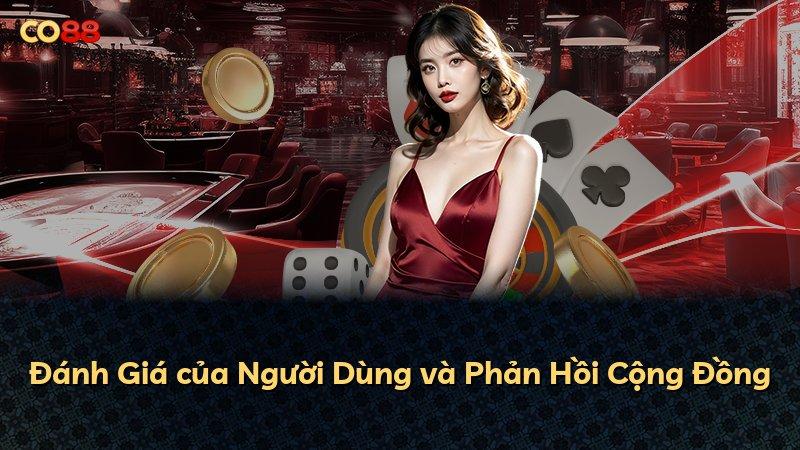 Đánh Giá của Người Dùng và Phản Hồi Cộng Đồng