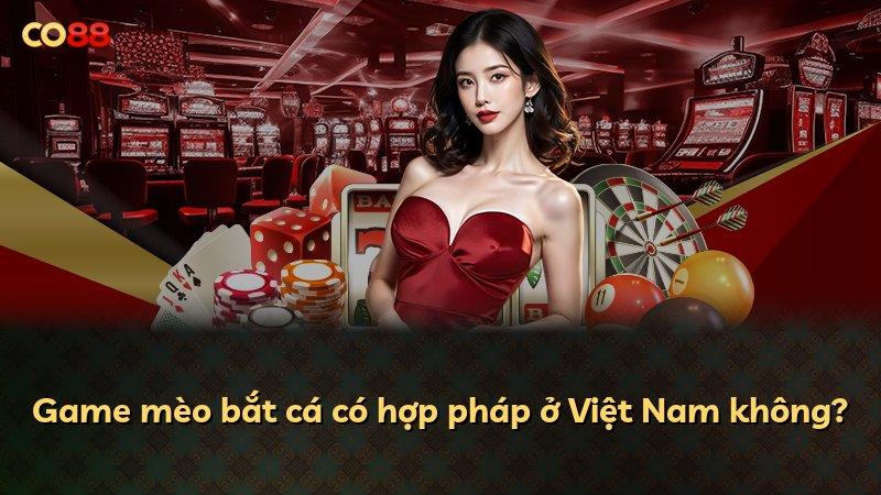 Game mèo bắt cá có hợp pháp ở Việt Nam không?