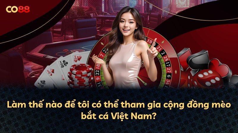 Làm thế nào để tôi có thể tham gia cộng đồng mèo bắt cá Việt Nam?