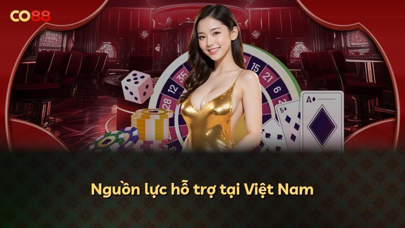 Nguồn lực hỗ trợ tại Việt Nam