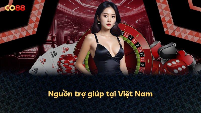Nguồn trợ giúp tại Việt Nam