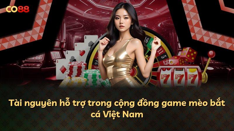 Tài nguyên hỗ trợ trong cộng đồng game mèo bắt cá Việt Nam