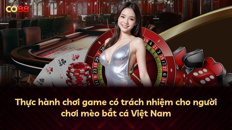 Thực hành chơi game có trách nhiệm cho người chơi mèo bắt cá Việt Nam