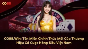 CO88.Win: Tên Miền Chính Thức Mới Của Thương Hiệu Cá Cược Hàng Đầu Việt Nam